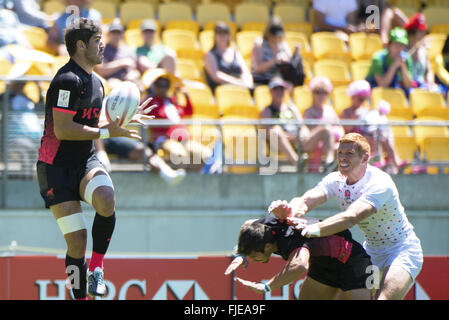 HSBC Sevens World Series XVII Runde 3 (Wellington) - England vs. Argentinien im Westpac Stadium - Tag 2 mit: Atmosphäre wo: Wellington, New Zealand bei: 31. Januar 2016 Stockfoto