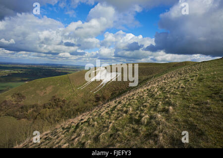 Eine Landschaftsansicht des Schimmels in Westbury, Wiltshire Stockfoto