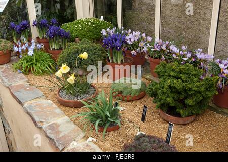 Alpine Gewächshaus an Rosemoor, im winter Stockfoto