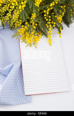 Mimosen Blüten und Notebook, blaue Serviette auf weißem Hintergrund Stockfoto