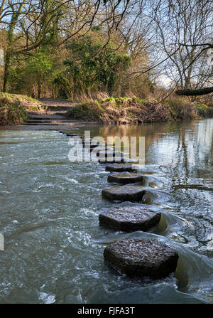 Die Stepping Stones über die Mole River am Fuße der Box Hill. Westhumble, in der Nähe von Dorking, Surrey, England. Stockfoto