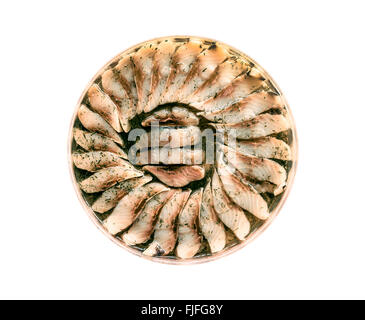 Hering-Filets in Öl Stockfoto