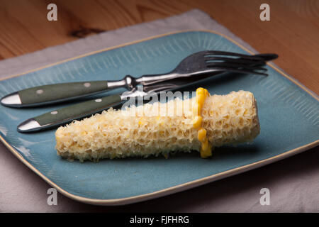 gegessen Zuckermais mit einem Ring von Mais links Stockfoto