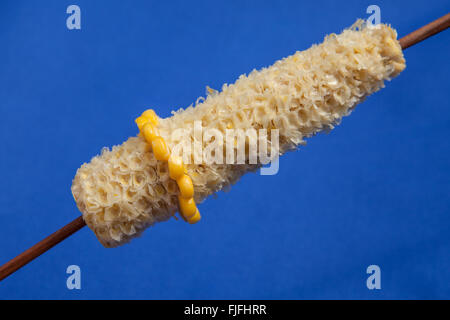 gegessen Zuckermais mit einem Ring von Mais links Stockfoto