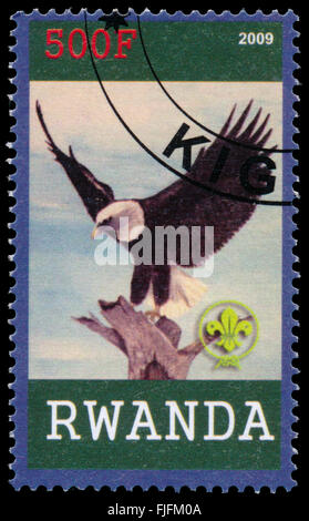 BUDAPEST, Ungarn - 01. März 2016: eine Briefmarke gedruckt von Ruanda, zeigt Eagle, ca. 2009 Stockfoto