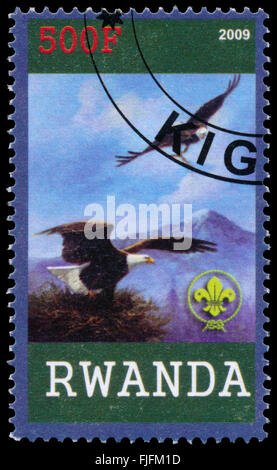 BUDAPEST, Ungarn - 01. März 2016: eine Briefmarke gedruckt von Ruanda, zeigt Eagle, ca. 2009 Stockfoto