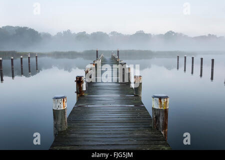 Steg im Morgennebel, Hafen Prerow am Prerower Strom oder Prerowstrom, Darß, Fischland-Darß-Zingst, Western Pomerania Lagune Stockfoto