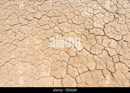 Trockenen Boden mit Rissen, Death Valley, Death Valley Nationalpark, Kalifornien, USA Stockfoto