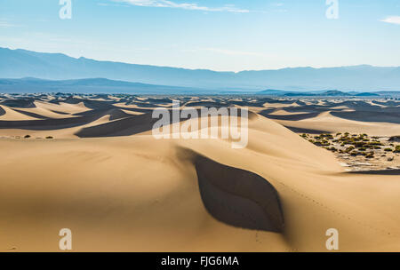 Mesquite flachen Dünen, Sanddünen, Ausläufern des Gebirges Amargosa Bereich hinter Death Valley Stockfoto