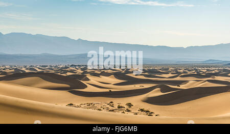 Mesquite flachen Dünen, Sanddünen, Ausläufern des Gebirges Amargosa Bereich hinter Death Valley Stockfoto