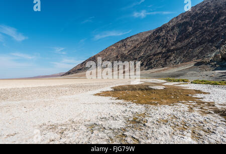 Salzkruste auf die Salzpfanne von Badwater Basin, der niedrigste Punkt in Nordamerika, Death Valley, Mojave-Wüste, Kalifornien, USA Stockfoto