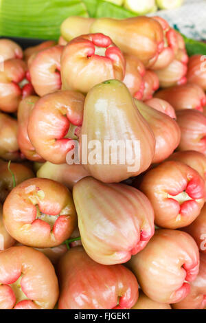 Rose-Äpfel auf einem lokalen Markt, Thailand. Stockfoto