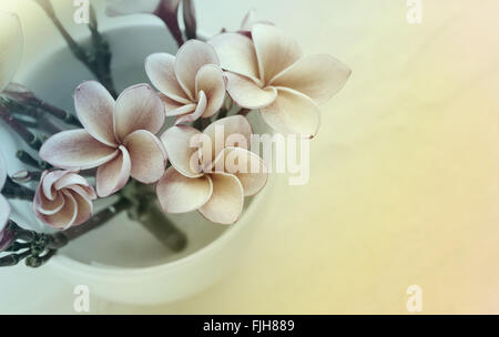 (Vintage Farbe) Süß und romantisch verträumte Farbe Reihe von rosa Frangrant Blumen Plumeria oder Frangipani in weiße Tasse Stockfoto