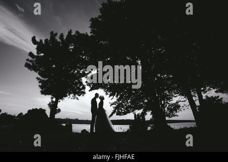 Braut, Bräutigam stehen im park Stockfoto
