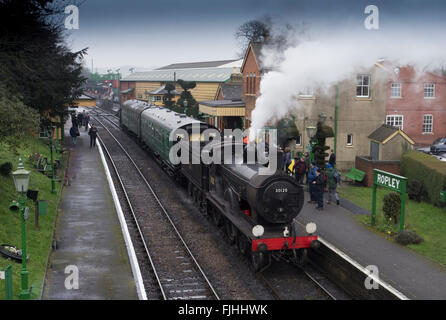 Mitte Hants Bahn, Hampshire, England, Stockfoto