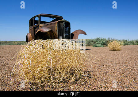 Alte rostige Auto und stachelige Distel Russisch / Tumbleweed (Kali Tragus / Salsola Tragus / Salsola Iberica) entlang der Route 66, Arizona Stockfoto