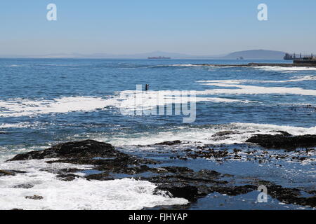 Stand up Paddle Boarder, Sea Point, Kapstadt, Südafrika Stockfoto