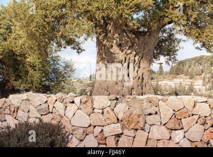 Israel Stockfoto