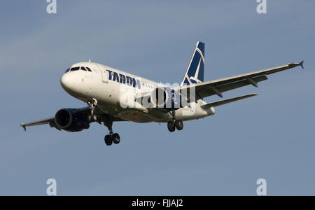 Airbus A318 Tarom Airlines landet auf dem Flughafen Heathrow LHR Stockfoto