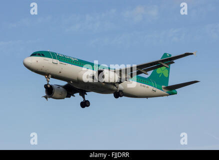 Airbus A320 von Aer Lingus Irish Airlines landet auf dem Flughafen Heathrow LHR Stockfoto