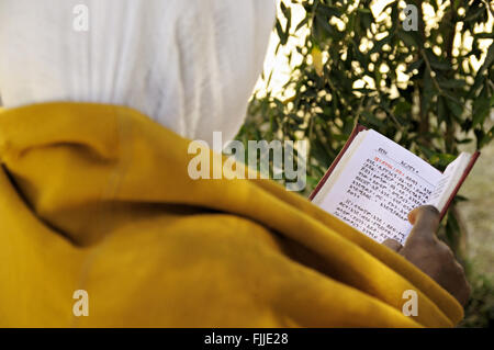 Nonne, die Lektüre der Heiligen Schrift außerhalb der neuen Kirche der Gottesmutter Maria von Zion in Axum (oder Aksum), Tigray Region, Äthiopien Stockfoto