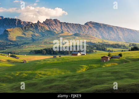 Seiser Alm am Nachmittag Licht, Südtirol, Italien Stockfoto