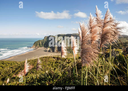 NZ-Auckland herüber Karekare Beach in der Nähe von Piha Strand in Waitakere Ranges und Hügeln. Atemberaubende Kulisse für touristische Reisen in Neuseeland. Stockfoto