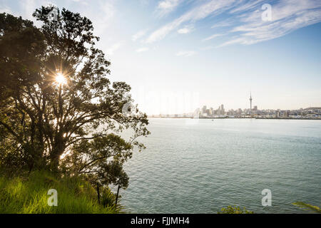 NZ-AUCKLAND Skyline der Stadt mit Sky Tower und Bucht-Hafen an sonnigen Tag schöner Morgen. Inc-Brücke, Gebäude, Wasser, Neuseeland Stockfoto