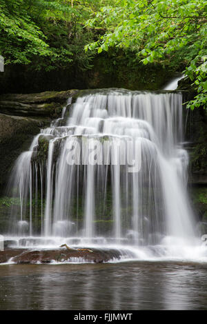 Frühling an der West Burton Wasserfall, Yorkshire Dales National Park, North Yorkshire, England, UK Stockfoto
