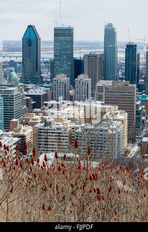 Skyline von Montreal von Kondiaronk Belvedere / Mont-Royal im Winter Stockfoto