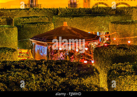 Jardin Stadt Baum Platz San Miguel de Allende, Mexiko. Stockfoto