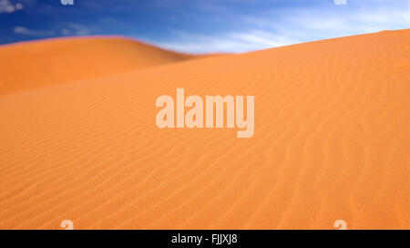 Rosa Sanddünen im frühen Morgenlicht im Coral Pink Sand Dunes State Park in Kanab, Utah Stockfoto
