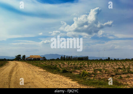 Ein Foto von Landstraße und Hütte im Maniok Plantage mit schöne Wolke. Stockfoto