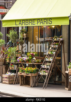 Florist Shop Exterieur, Paris, Frankreich. Pflanzen und Blumen zum Verkauf werden auf dem Bürgersteig unter einem typischen Markise angezeigt. Stockfoto