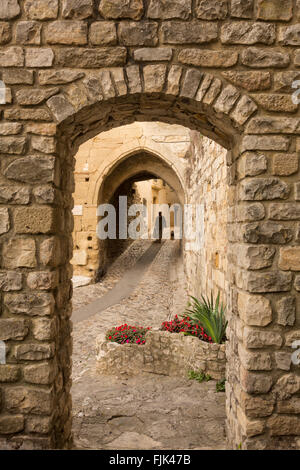 Eine Frau und ihr Hund auf eine typische Gasse in dem mittelalterlichen Dorf Vaison la Romaine, Provence, Frankreich Stockfoto