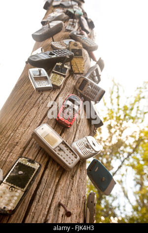 Alte, kaputte Handys ans ein Telefonmast im Obstanbau, Südinsel, Neuseeland Stockfoto