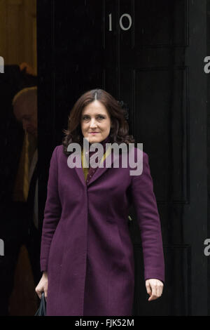 2. März 2016. Nordirland Sekretärin Theresa Villiers der wöchentlichen Kabinettssitzung in 10 Downing Street, London. Stockfoto