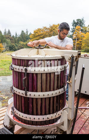 Ein Winzer Verschärfung des Deckels eine traditionelle hölzerne Weinpresse in einem Weingut in Washington State, USA Stockfoto