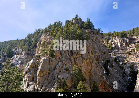 Hohen Felsenschlucht mit Kiefern an einem sonnigen Tag Stockfoto