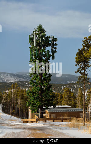 Mobilfunkmast getarnt als Baum Stockfoto