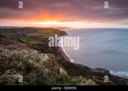 Großbritannien Wetter, Golden Cap Chideock, Dorset. 3. März 2016. UK-Wetter: Blick Dorset Jurassic Küste entlang in Richtung West Bay von den Klippen von Golden Cap in der Nähe von Chideock, mit einem Strahl der Sonne durch eine Lücke in den Wolken über die spektakuläre Küste bei Sonnenaufgang.  Golden Cap ist die Kulisse für eine der Julia Bradburys "Besten Walks With a View"-Serie.  Dorset, The Golden Cap Walk ist am 4. März 2016 20:00 auf ITV gezeigt werden Credit: Graham Hunt/Alamy Live News Stockfoto