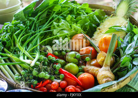 Korb des Kochens Zutaten zur Herstellung von Thai-Curry, Kochkurs, Khao Lak, Thailand Stockfoto