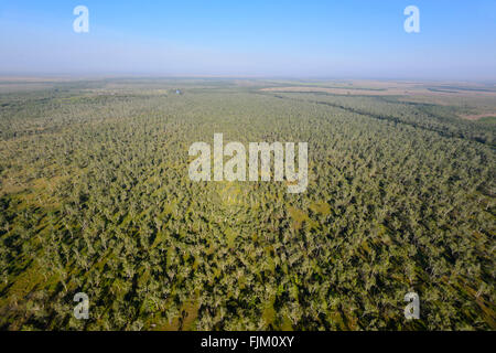 Luftaufnahme in der Nähe von Darwin, Northern Territory, Australien Stockfoto