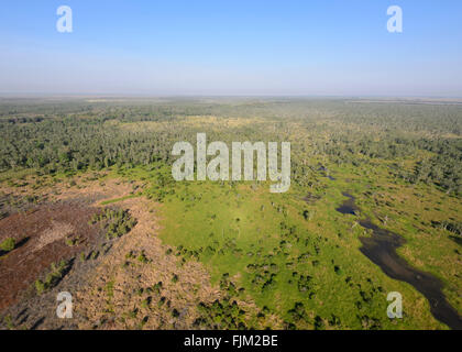 Luftaufnahme von Billabong in der Nähe von Darwin, Northern Territory, Australien Stockfoto