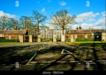 Goldenes Tor, Wynyard Hall Stockton on Tees Stockfoto