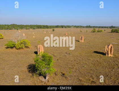 Luftaufnahme der Termitenhügel, in der Nähe von Darwin, Northern Territory, Australien Stockfoto