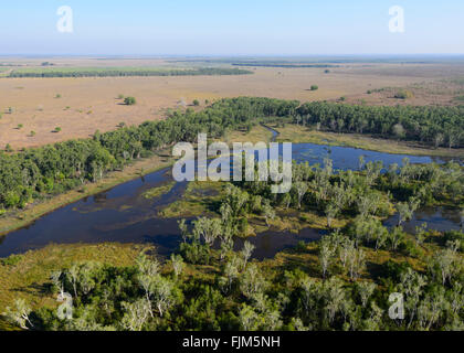 Luftaufnahme von Billabong in der Nähe von Darwin, Northern Territory, Australien Stockfoto