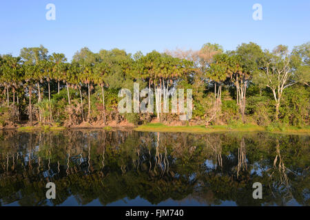 Süßigkeiten-Lagune in der Nähe von Darwin, Northern Territory, Australien Stockfoto