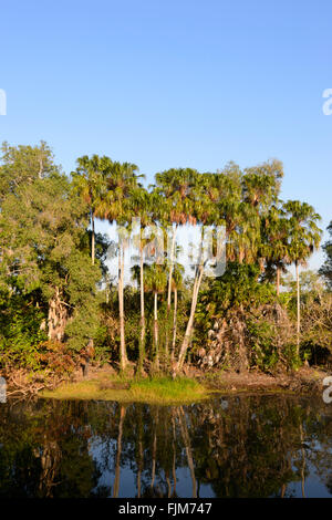 Süßigkeiten-Lagune in der Nähe von Darwin, Northern Territory, Australien Stockfoto