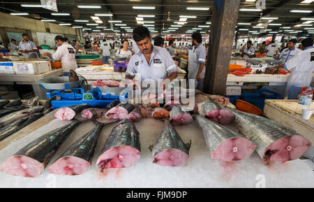 Thunfisch für den Verkauf auf Stand auf Dubai Fischmarkt in Deira, Vereinigte Arabische Emirate Stockfoto